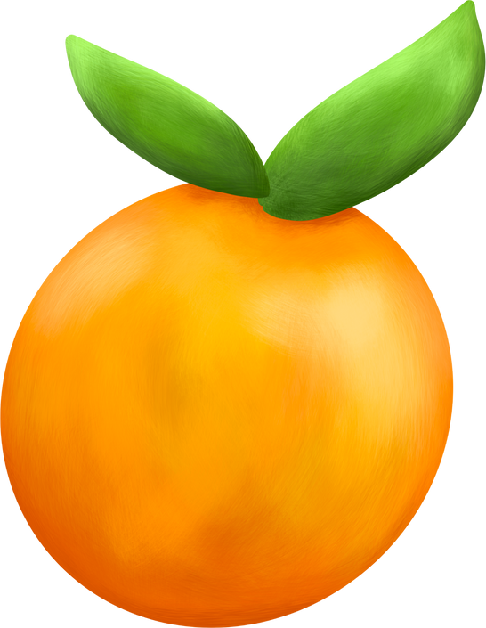 Orange with Leaves